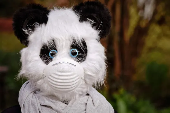 BitReels Kazino Pagalba